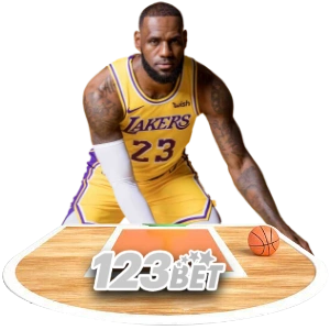 333VIP Sports Betting